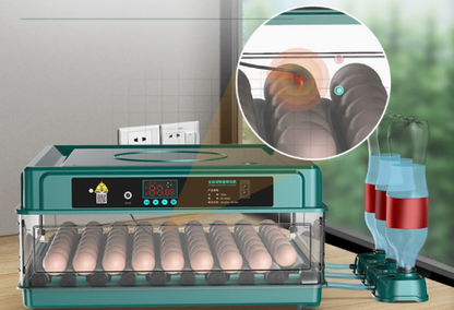 Automatic Egg Incubator with Adjustable Temperature Tray