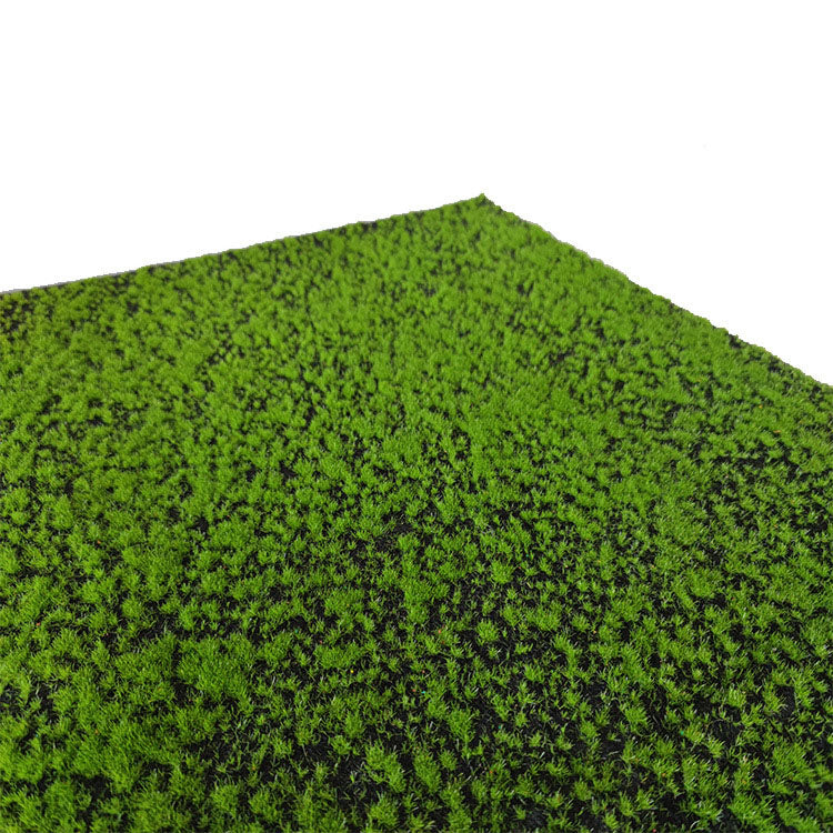 Fake Grass Indoor Green Carpet
