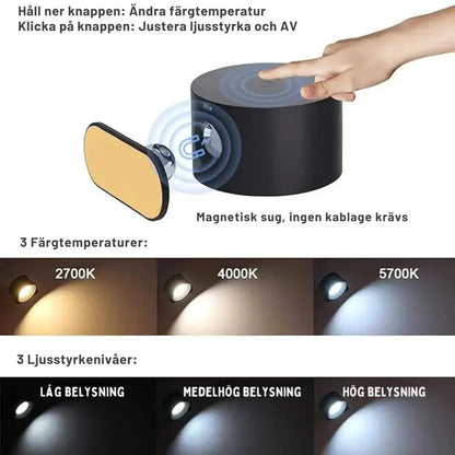 Smart LED Wall Light with Remote