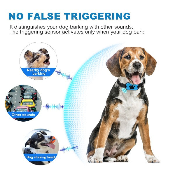 Effective Dog Training Collar with Vibration Mode