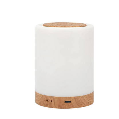 Kid Friendly LED Nightlight - Compact USB Rechargeable