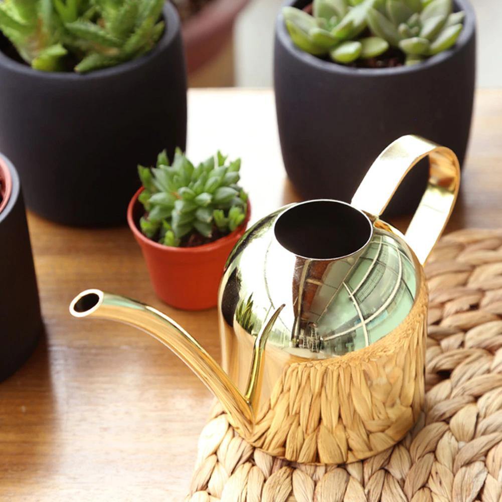 Durable Stainless Steel Watering Can with Long Spout