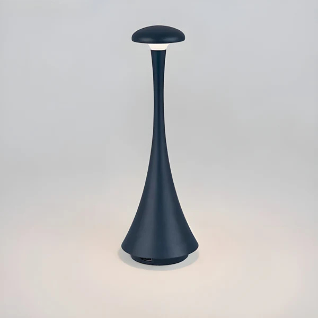 Energy Saving Desk Light Lamp