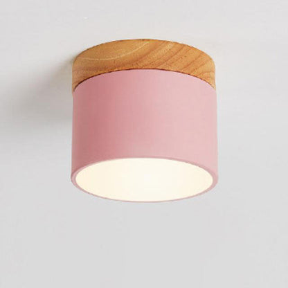 Modern LED Ceiling Lamp Adjustable Color