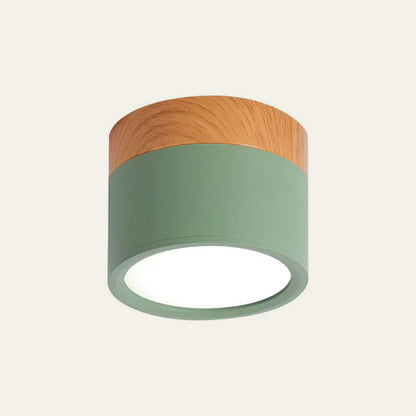 Slim LED Ceiling Fixture Modern Cylinder Light