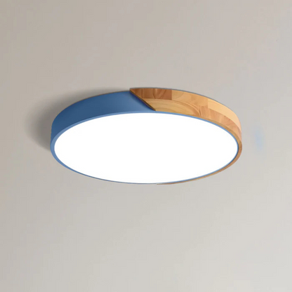 Eco Friendly Modern LED Ceiling Light