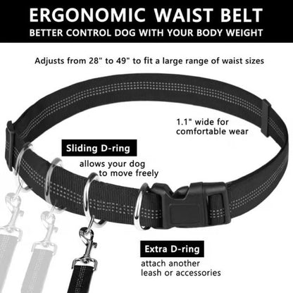 Adjustable Dog Running Leash with Pouch Bag