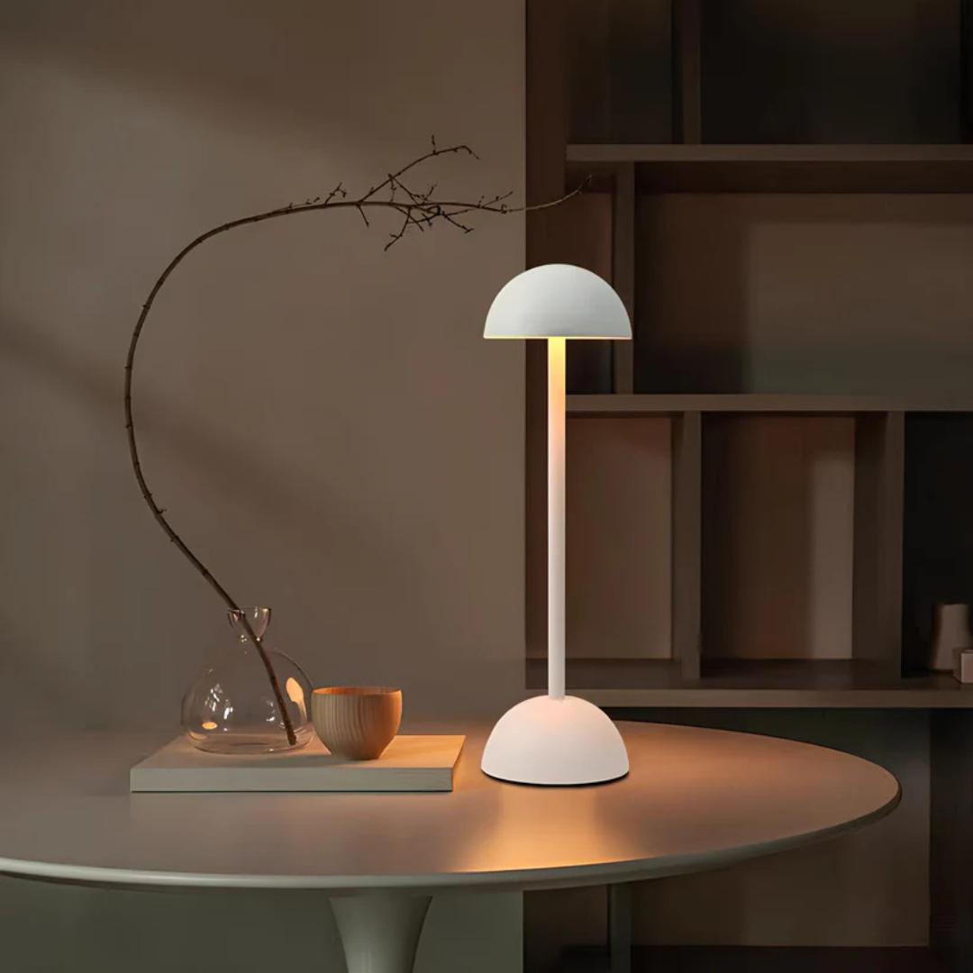 Portable Dimmable Desk Lamp with USB Charging