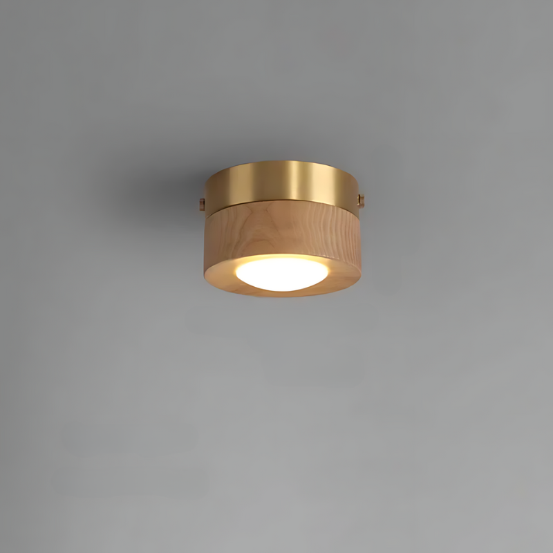 Stylish Wooden Ceiling Lamp with LED Spot Light - Cofik