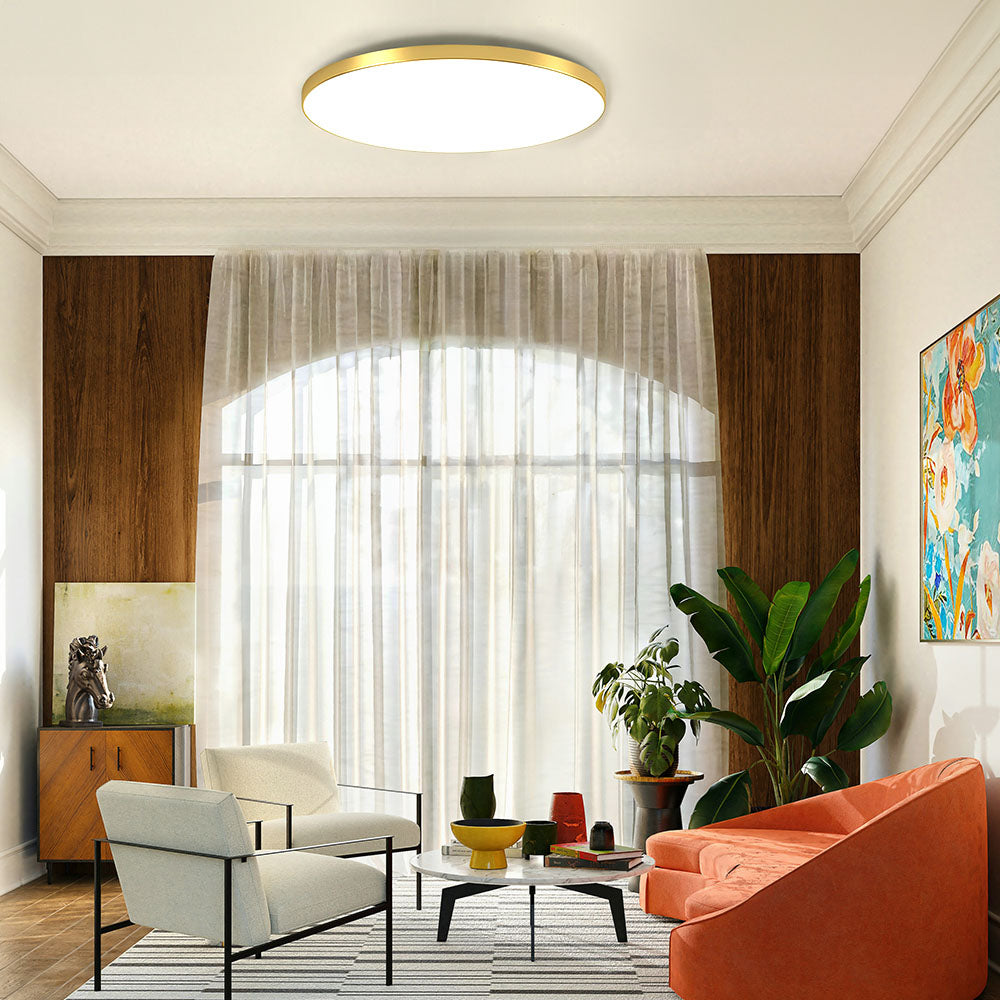 Sleek Contemporary LED Ceiling Light Fixture