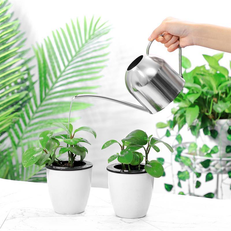 Durable Stainless Steel Watering Can with Long Spout