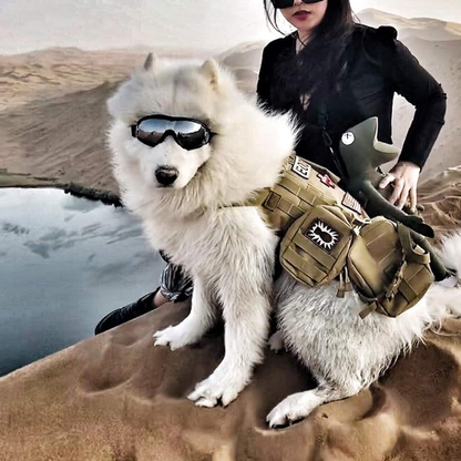 Dog Sunglasses Outdoor Pet Eye Protection