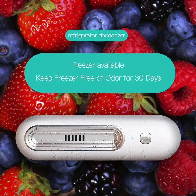 Small Air Cleaner and Fridge Freshener