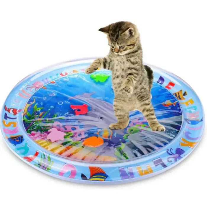 Fun Cat Play Pad – JumpJoy Noxord