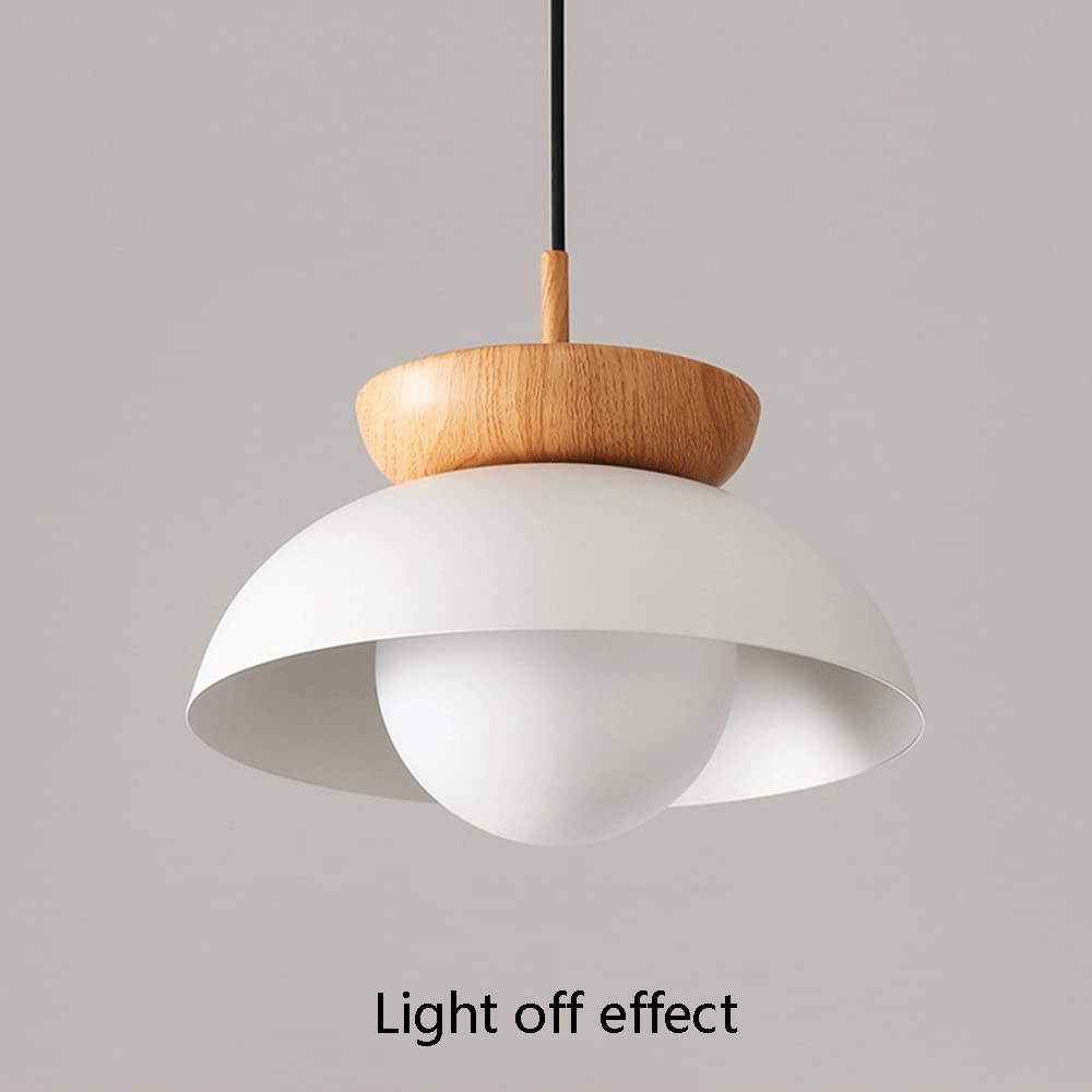 Stylish Metal Hanging Pendant Light