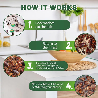 Non-Toxic Roach Killer Bait Stations
