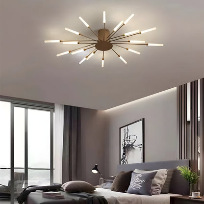 Contemporary LED Ceiling Lamp