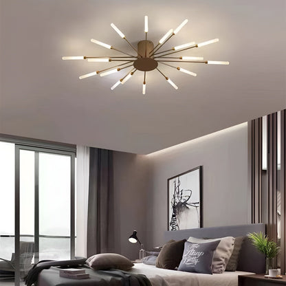 Contemporary LED Ceiling Lamp