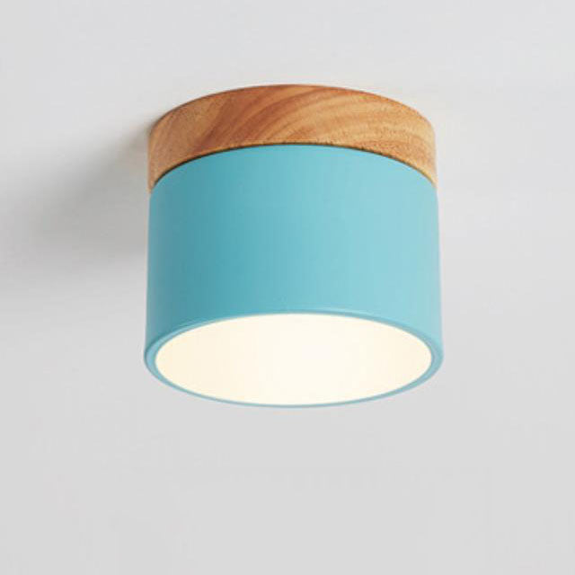 Modern LED Ceiling Lamp Adjustable Color