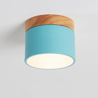Modern LED Ceiling Lamp Adjustable Color