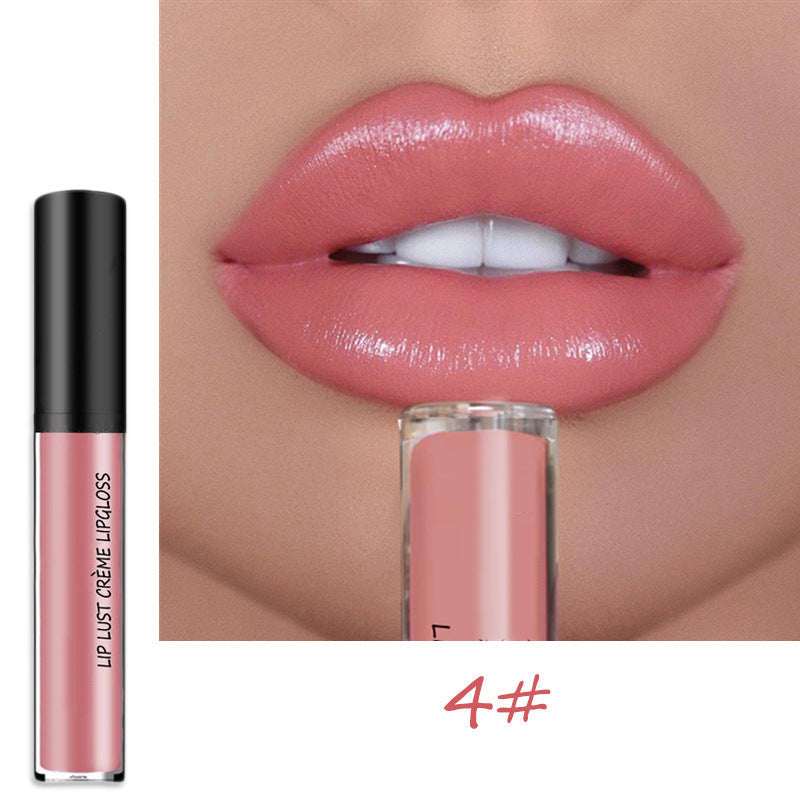 Moisturizing Long Lasting Lip Color