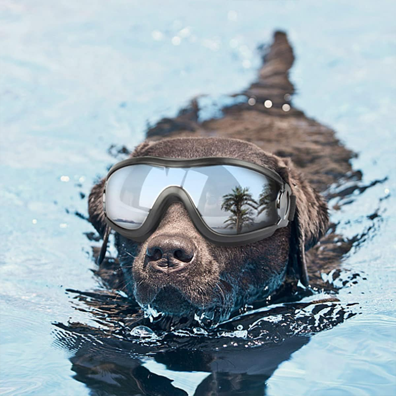 Dog Sunglasses Outdoor Pet Eye Protection