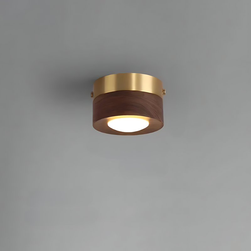 Stylish Wooden Ceiling Lamp with LED Spot Light