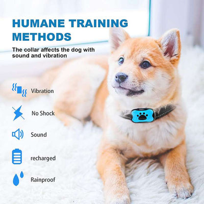 Effective Dog Training Collar with Vibration Mode - Cofik