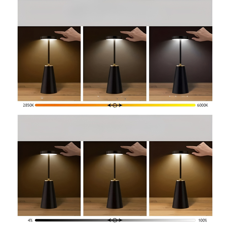 Portable LED Wireless Desk Lamp