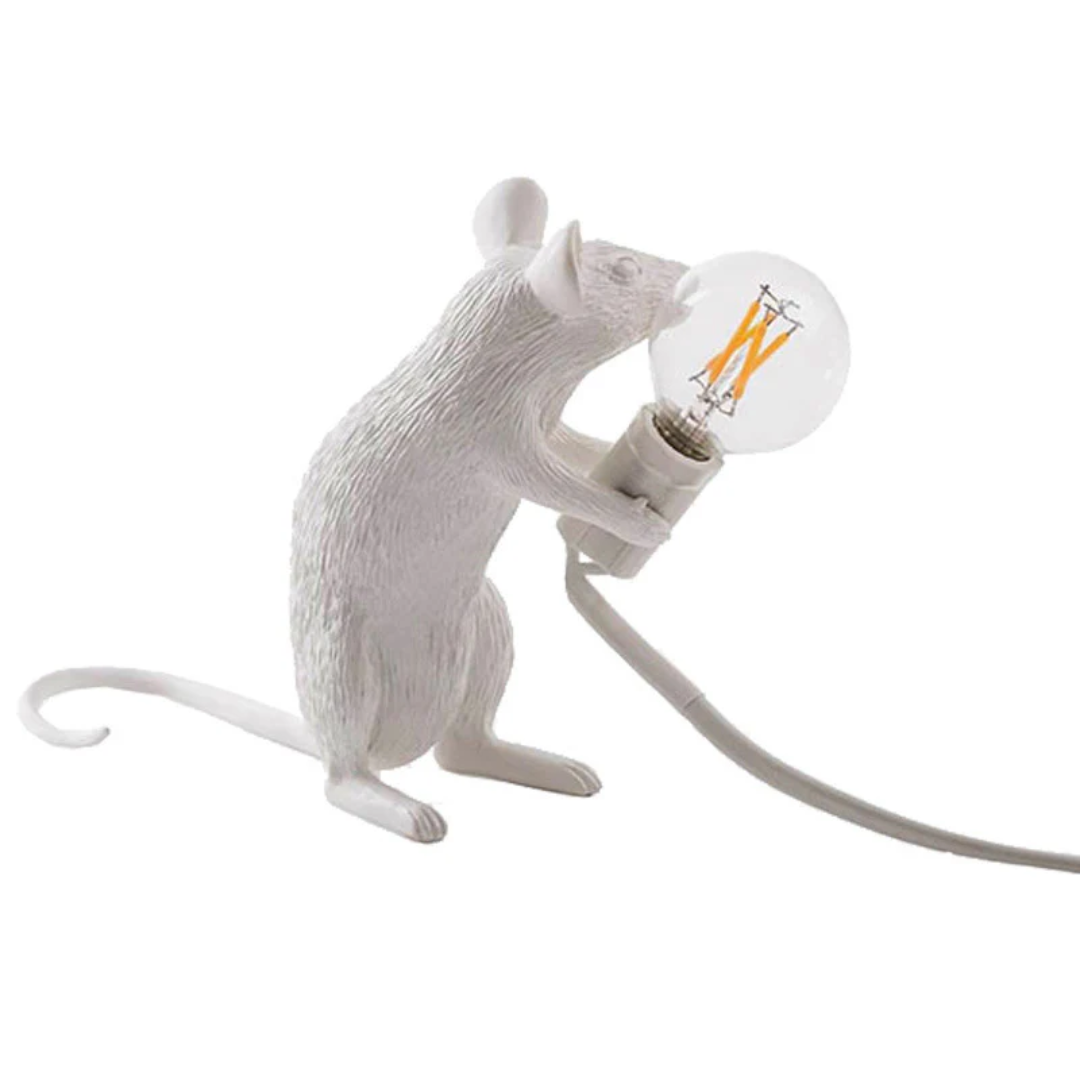 Contemporary Desk LED Lamp