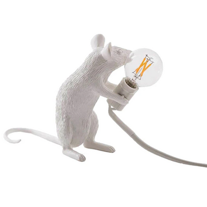 Contemporary Desk LED Lamp