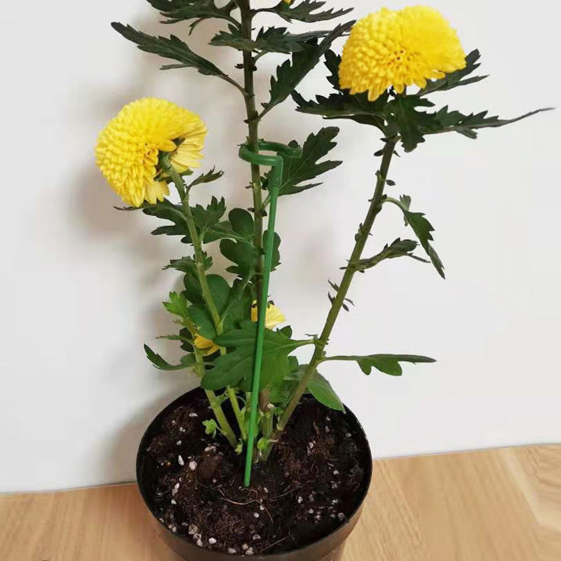 Garden Plant Stakes (10 Pack)