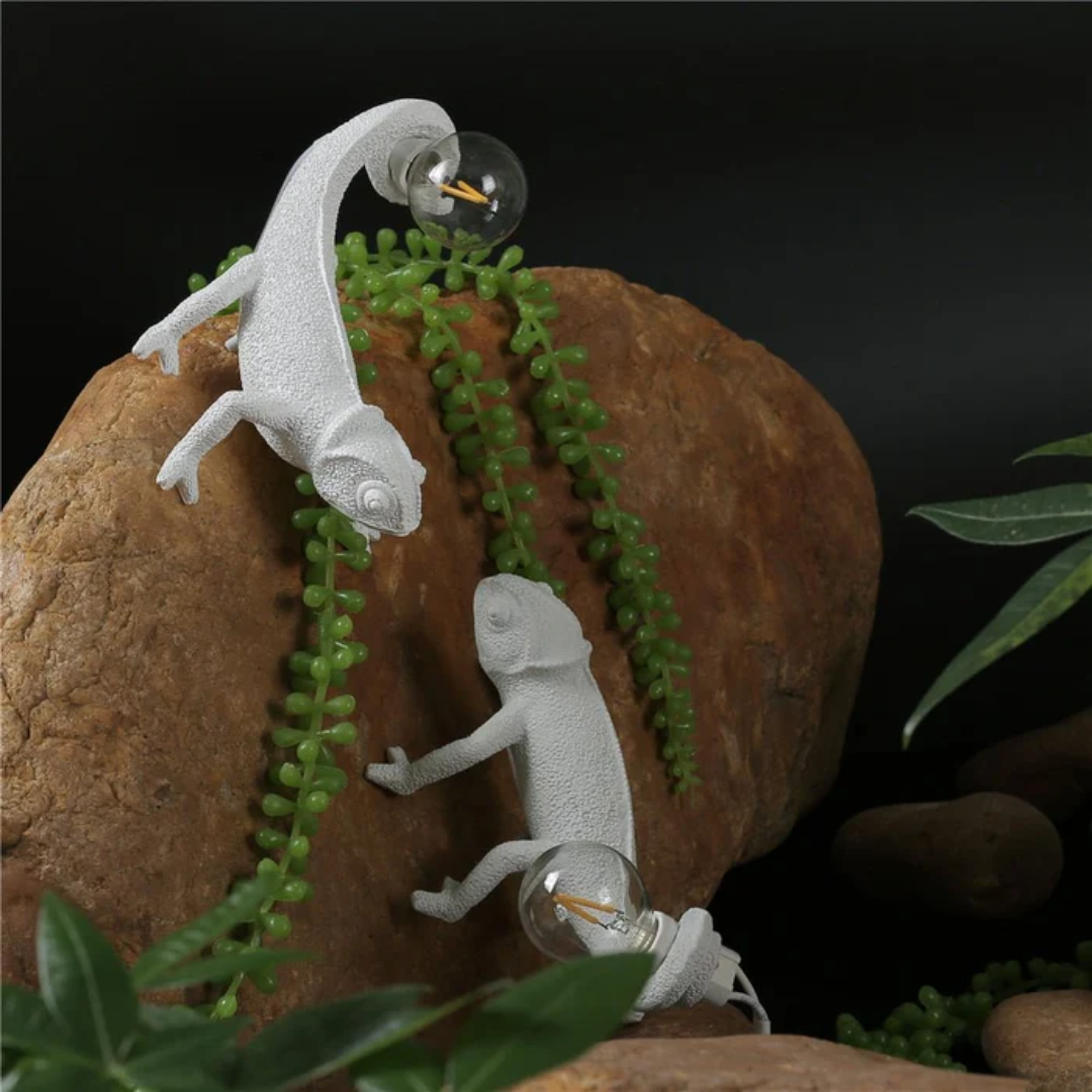 Reptile Desk Light Noxord