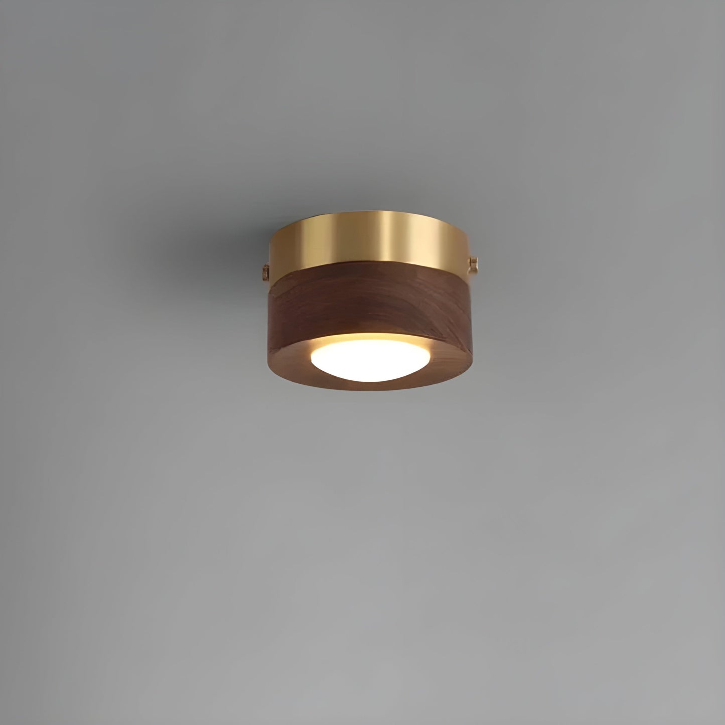 Brown Wooden LED Ceiling Lamp