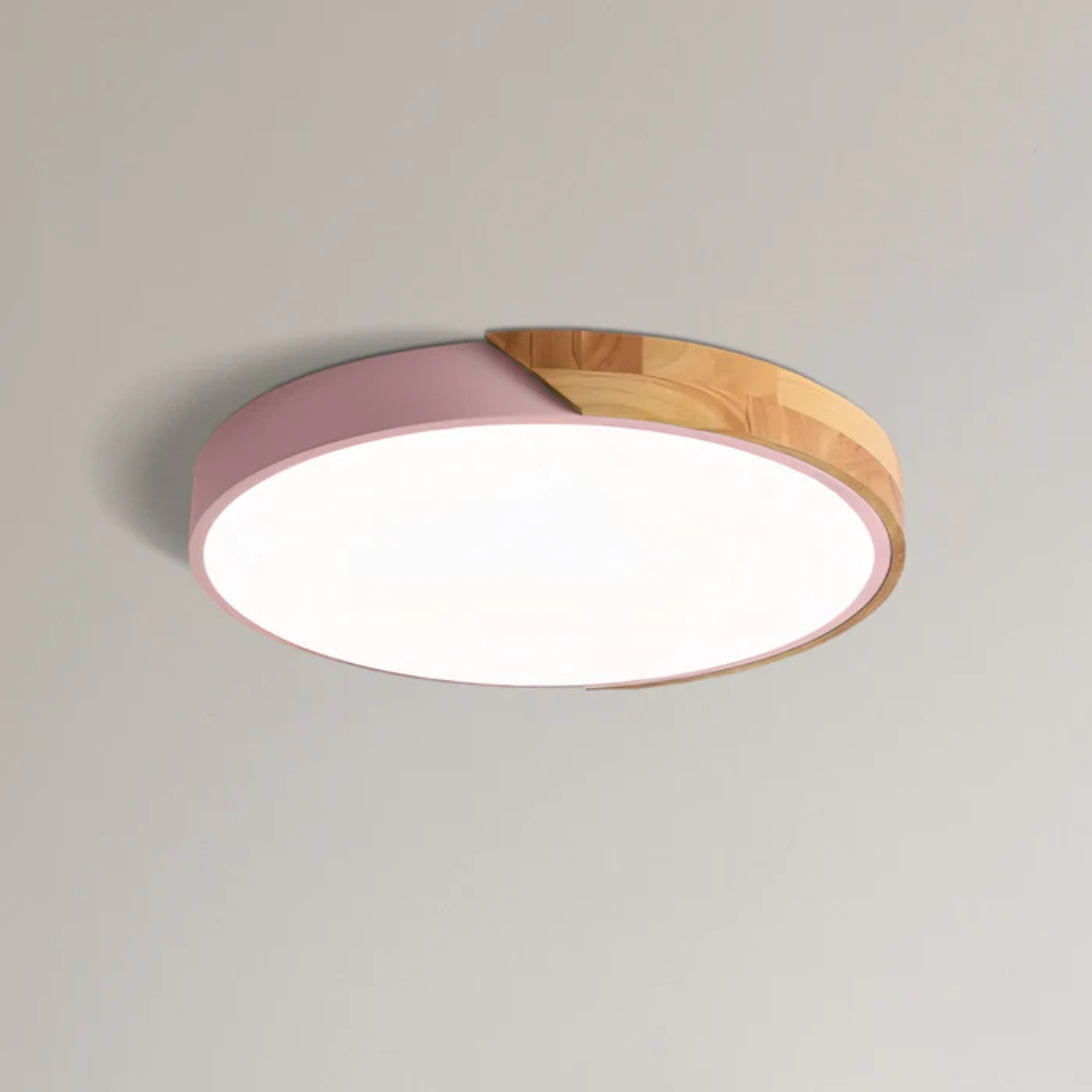 Eco Friendly Modern LED Ceiling Light