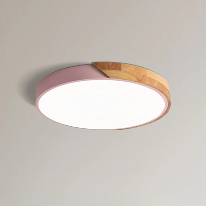 Eco Friendly Modern LED Ceiling Light