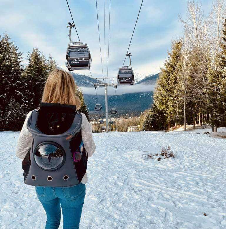Large Window Cat Backpack - Comfy Pet Travel Carrier