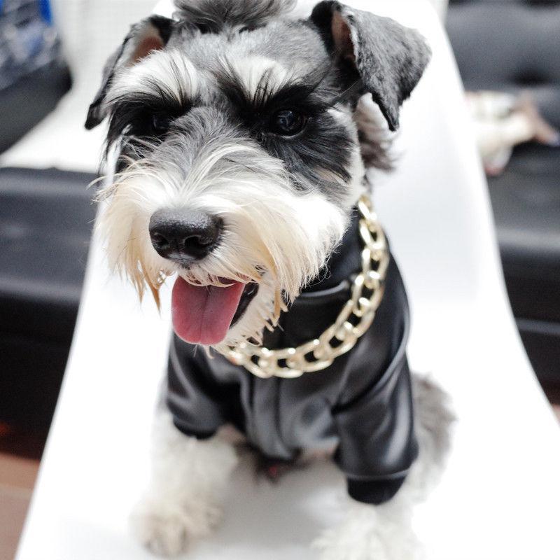 Luxury Pet Gold Plated Chain Collar