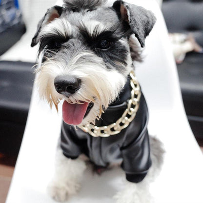 Luxury Pet Gold Plated Chain Collar