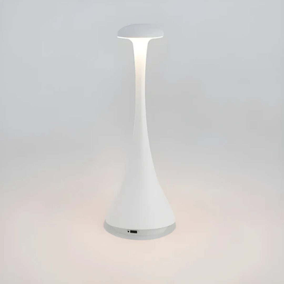 Energy Saving Desk Light Lamp