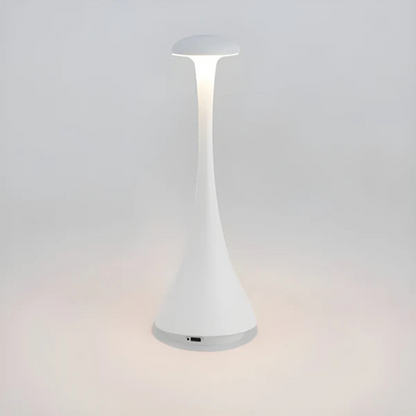 Energy Saving Desk Light Lamp