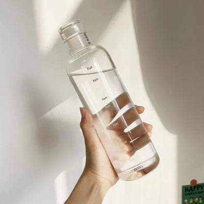 Insulated Stainless Steel Water Bottle
