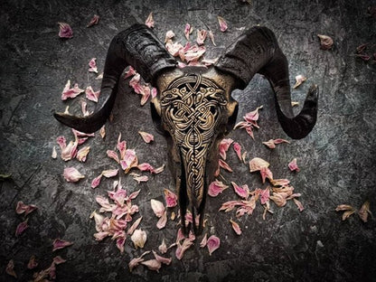 Decorative Ram Skull Figurine