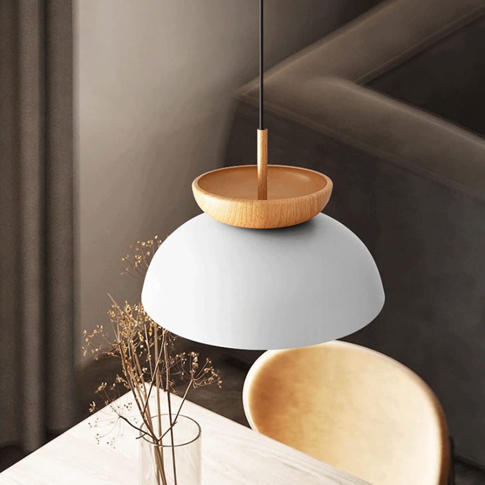 Stylish Metal Hanging Pendant Light