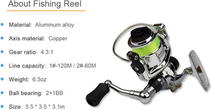 Portable Mini Fishing Rod Set with Reel