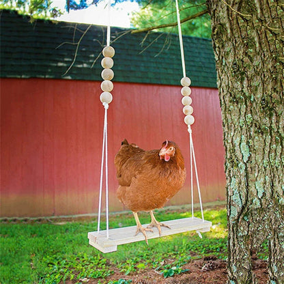 Fun Pet Chicken Playground Toy