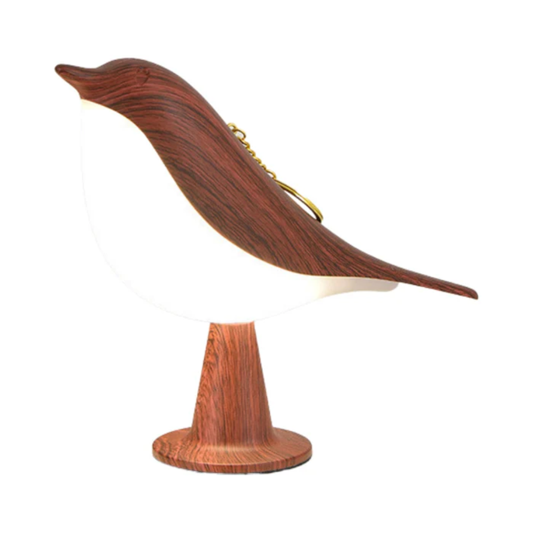 Colorful Bird Desk Light
