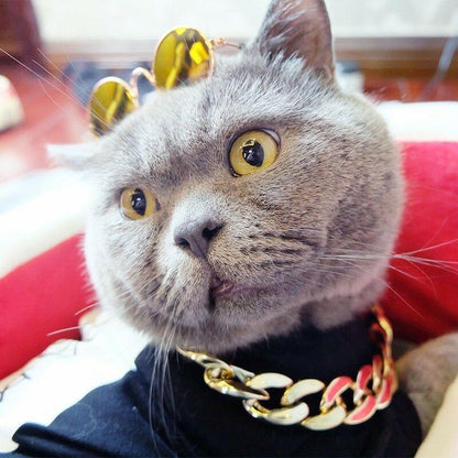 Luxury Pet Gold Plated Chain Collar