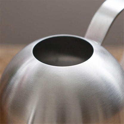 Durable Stainless Steel Watering Can with Long Spout