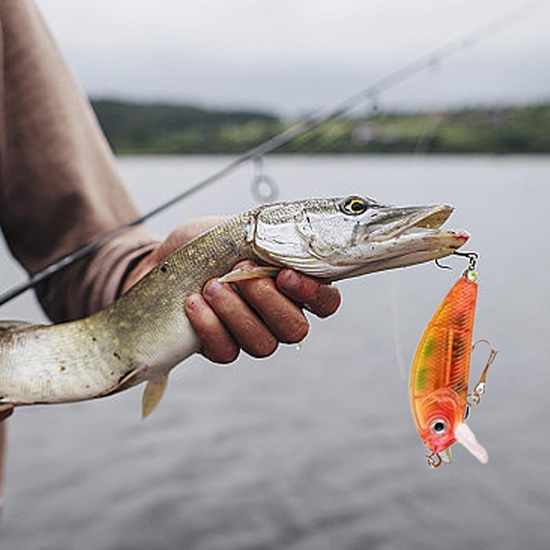 Daily Fishing Gear Countdown Kit